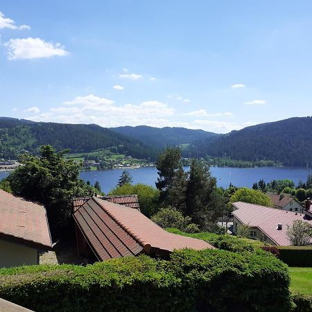 Esprit Myrtille Balcon Vue Lac Gerardmer Exterior photo